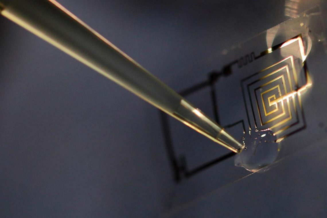 A biodegradable integrated circuit during dissolution in water. A biodegradable integrated circuit during dissolution in water.